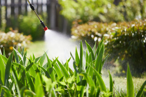 24/7 Emergency Wasp Removal experts in Edmore, MI