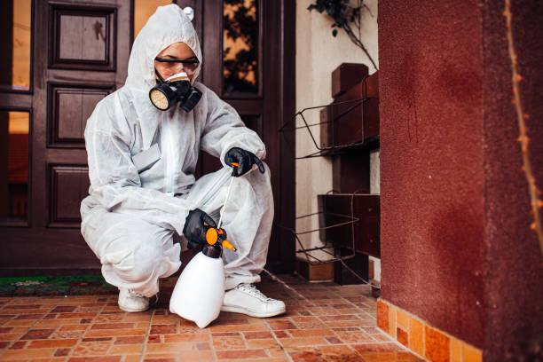 Reliable Wasp Removal contractor in Edmore, MI by Show Me Pest Control